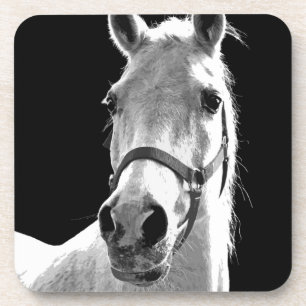 Dessous-de-verre Gros plan Cheval blanc noir en nuit