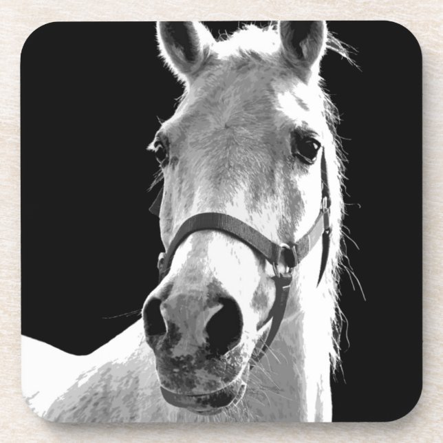 Dessous-de-verre Gros plan Cheval blanc noir en nuit (Devant)