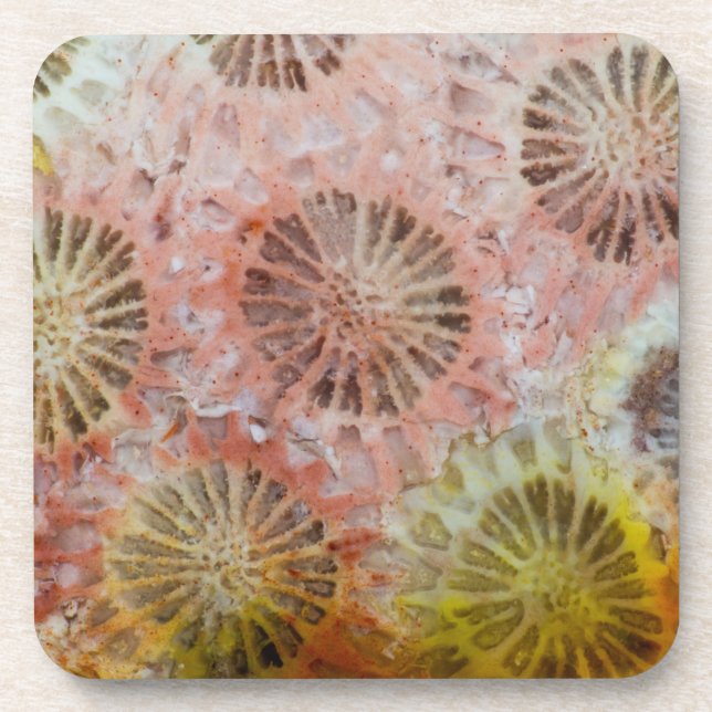 Dessous-de-verre Gros plan de corail rose (Devant)