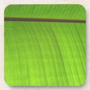 Dessous-de-verre Gros plan de la feuille de banane