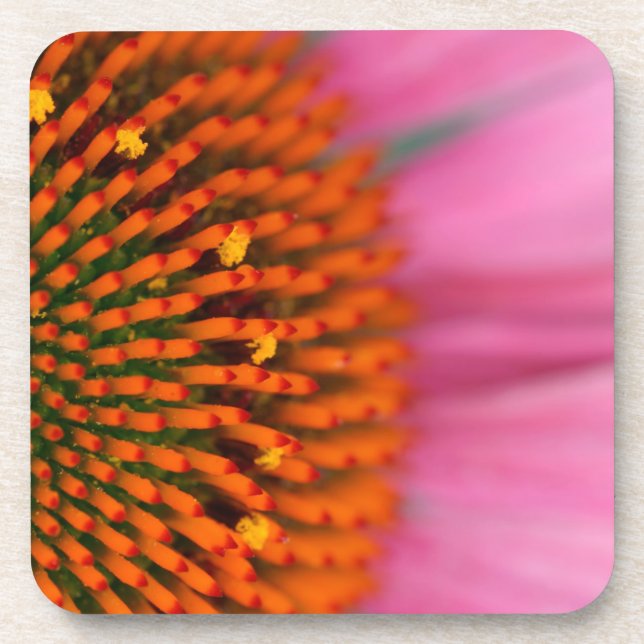 Dessous-de-verre Gros plan d'une fleur conique en été, (Devant)