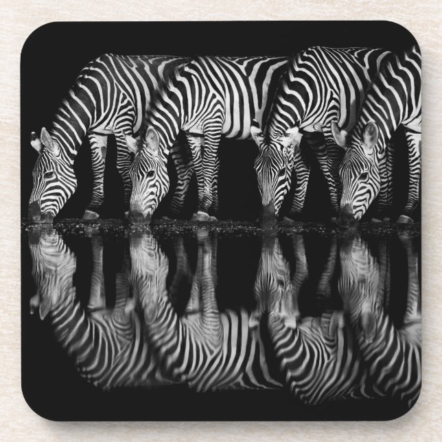 Dessous-de-verre Group of Plains Zebra Drink Together at Night (Devant)