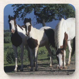 Dessous-de-verre Groupe de chevaux de peinture