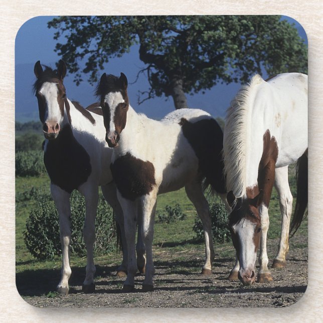 Dessous-de-verre Groupe de chevaux de peinture (Devant)