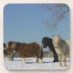 Dessous-de-verre Groupe de chevaux miniatures dans la neige