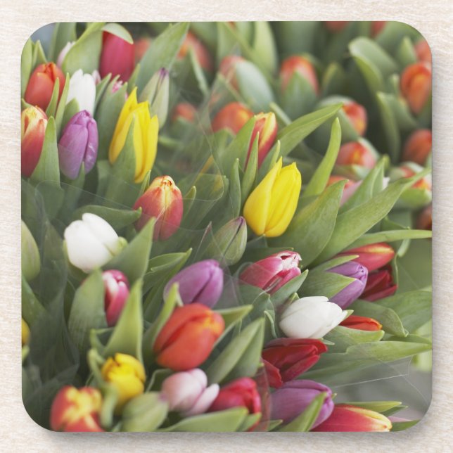 Dessous-de-verre Groupes de tulipes colorées (Devant)