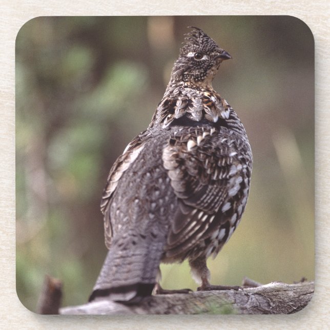 Dessous-de-verre grouse (Devant)