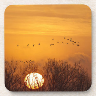 Dessous-de-verre Grues du Canada en silhouette sur fond de soleil l