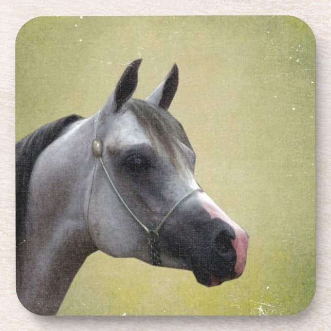 Dessous-de-verre Grunge Arabian Horse (Devant)