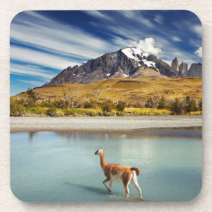 Dessous-de-verre Guanaco traversant la rivière en Torres del Paine