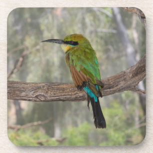 Dessous-de-verre Guêpier arc-en-ciel, Australie