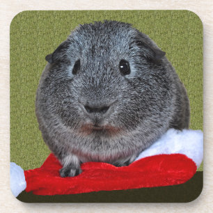 Dessous-de-verre Guinea Pig Christmas