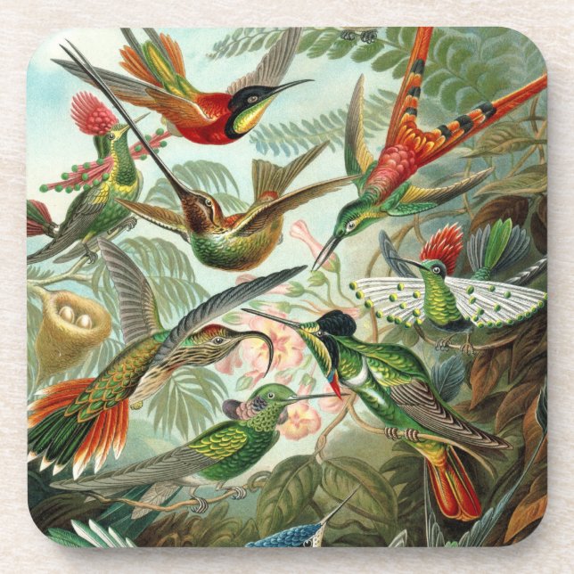 Dessous-de-verre Haeckel Birds (Devant)