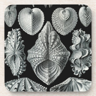 Dessous-de-verre Haeckel Black