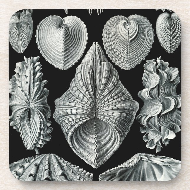 Dessous-de-verre Haeckel Black (Devant)