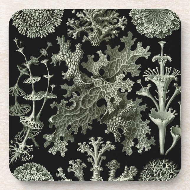 Dessous-de-verre Haeckel Black (Devant)
