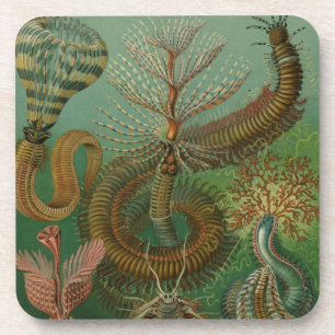 Dessous-de-verre Haeckel Centipedes