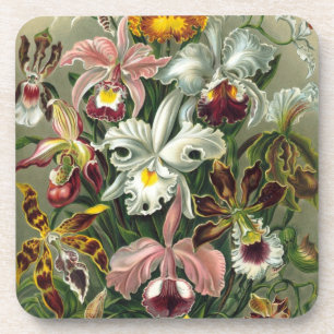 Dessous-de-verre Haeckel Orchids