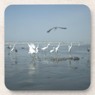 Dessous-de-verre Hakuna matata.JPG