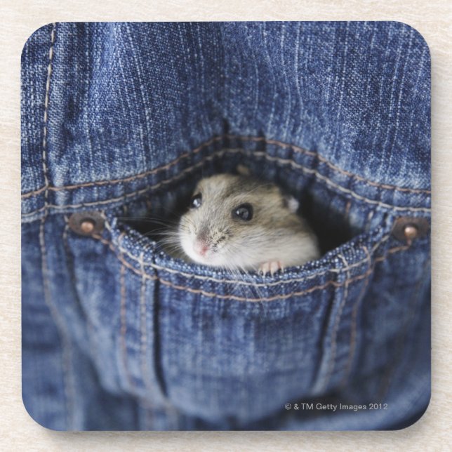 Dessous-de-verre Hamster dans la poche (Devant)