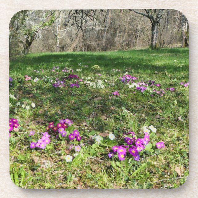 Dessous-de-verre Harbinger du printemps (Devant)