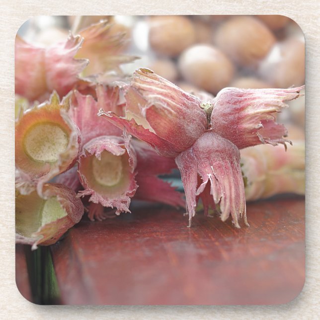 Dessous-de-verre Hazelnuts.JPG (Devant)