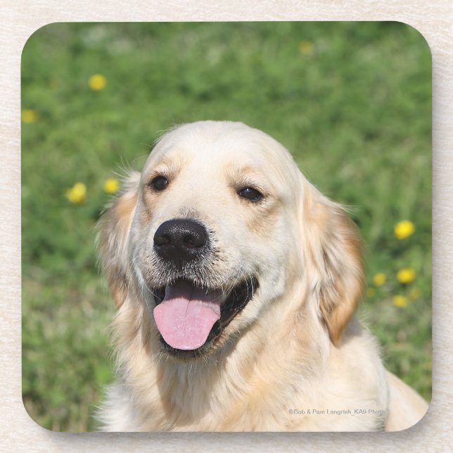Dessous-de-verre Headshot 1 de golden retriever (Devant)