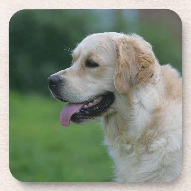Dessous-de-verre Headshot 2 2 de golden retriever (Devant)