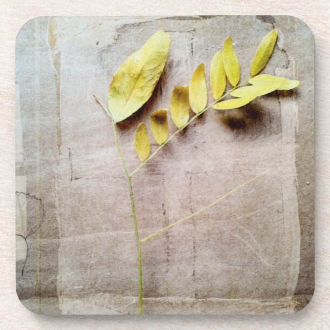 Dessous-de-verre Herbarium V (Devant)