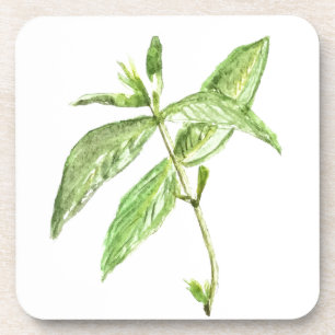 Dessous-de-verre Herbe de menthe