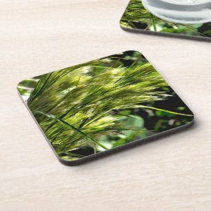 Dessous-de-verre Herbe de plage dans la brise
