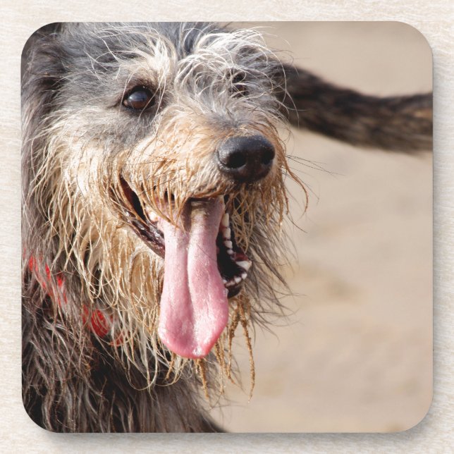 Dessous-de-verre Heureux chien sur une plage (Devant)