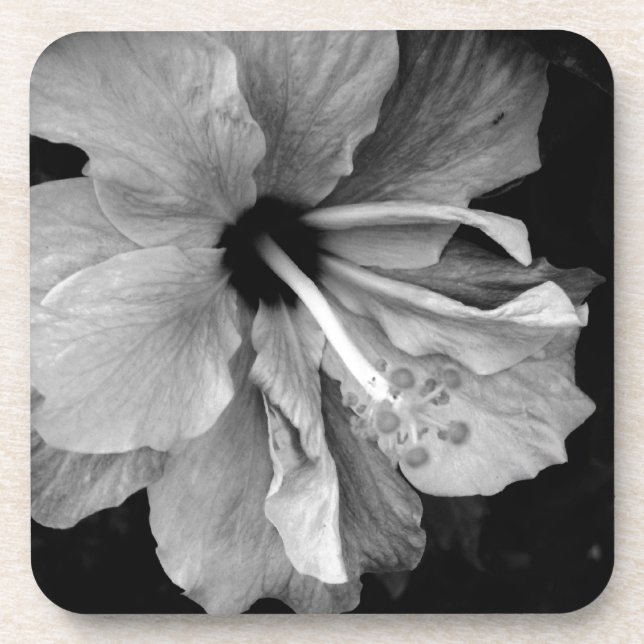 Dessous-de-verre Hibiscus (Devant)