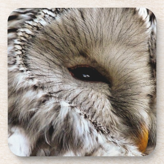 DESSOUS-DE-VERRE HIBOU (Devant)