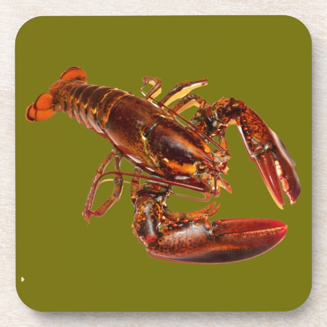 Dessous-de-verre Homard (Devant)