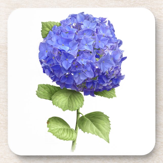 Dessous-de-verre Hortensia Bleu (Devant)