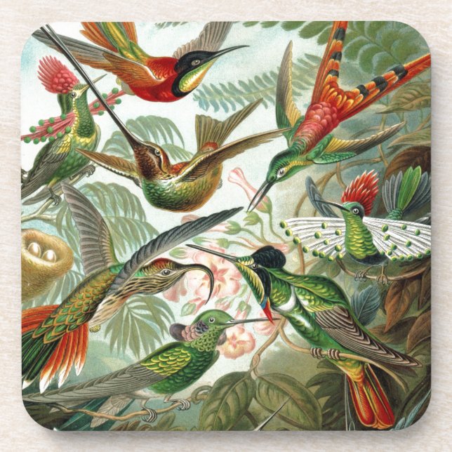 Dessous-de-verre Humming Birds Paradise Art (Devant)