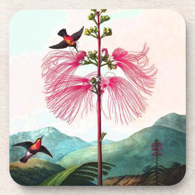 Dessous-de-verre Hummingbirds mimosa arbre oiseau de fleurs vintage (Devant)