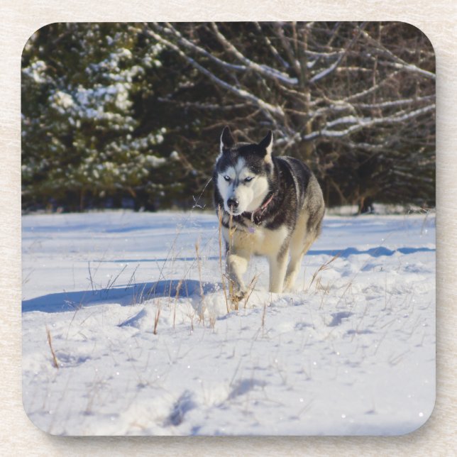 Dessous-de-verre Husky Sibérien Dans La Neige (Devant)