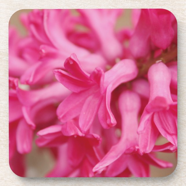 Dessous-de-verre Hyacinth rose (Devant)