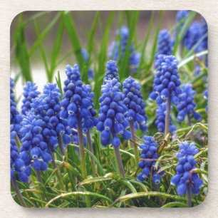 Dessous-de-verre Hyacinthe de raisin