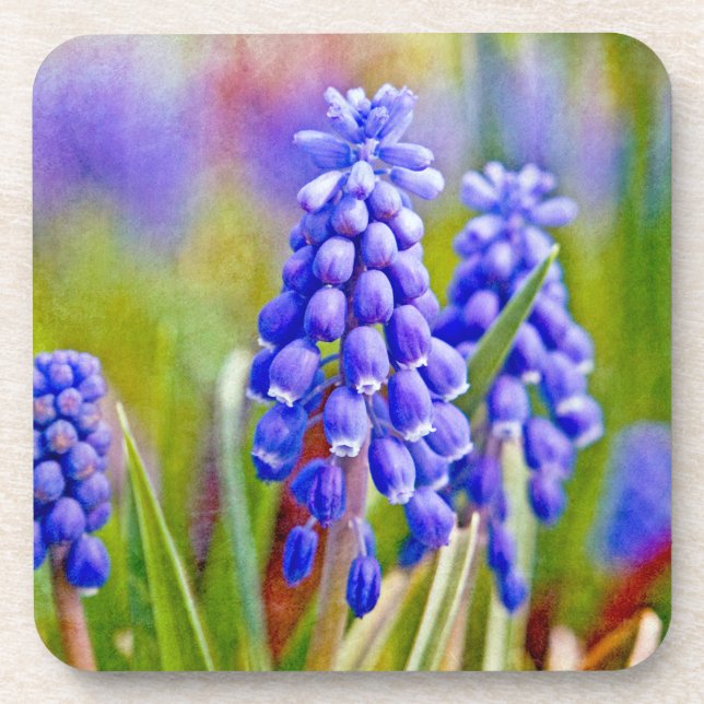 Dessous-de-verre Hyacinthes de raisin (Devant)
