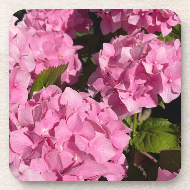 Dessous-de-verre Hydrangea rose (Devant)