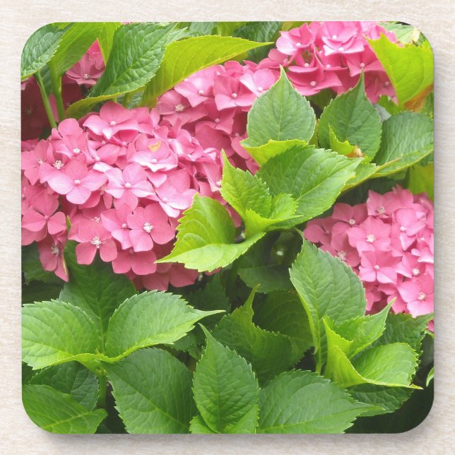 Dessous-de-verre Hydrangeas Rose Foncé (Devant)