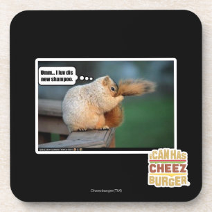 Dessous-de-verre I nouveau shampooing du luv DIS