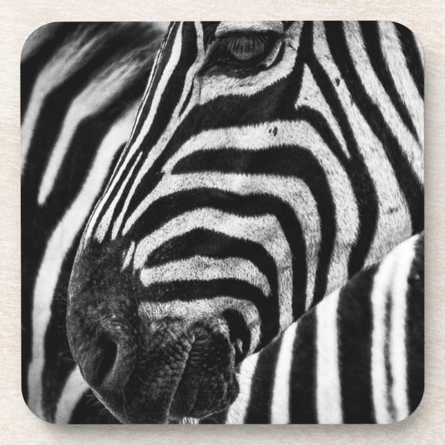 Dessous-de-verre Illusion Zebra (Devant)