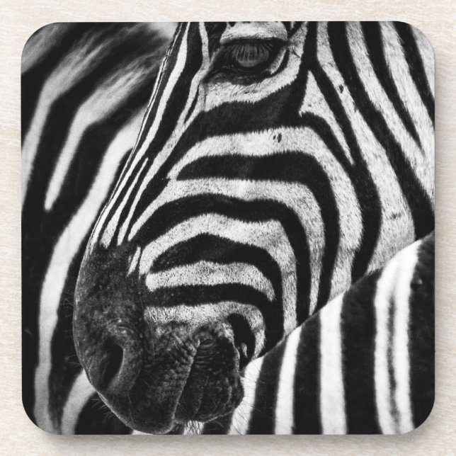 Dessous-de-verre Illusion Zebra (Devant)