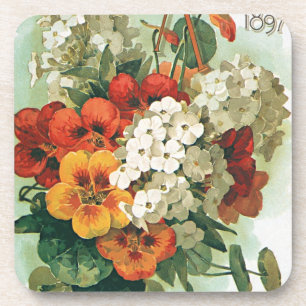 Dessous-de-verre Illustration de couverture du catalogue de graines