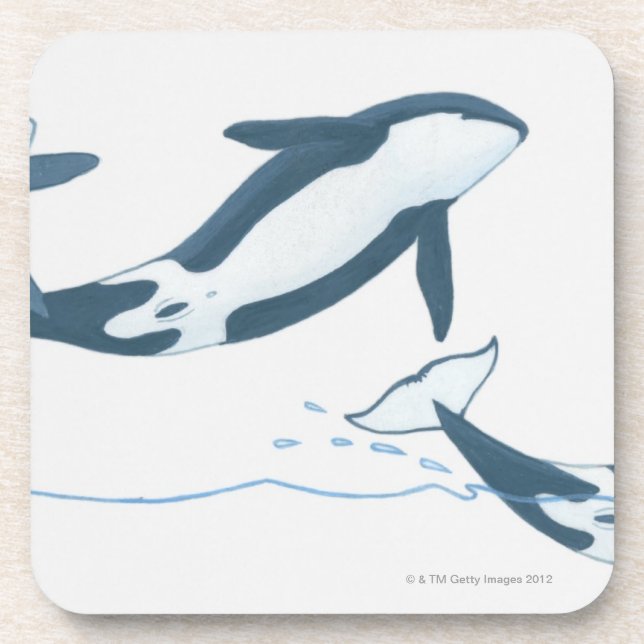 Dessous-de-verre Illustration des épaulards (orque d'Orcinus) (Devant)