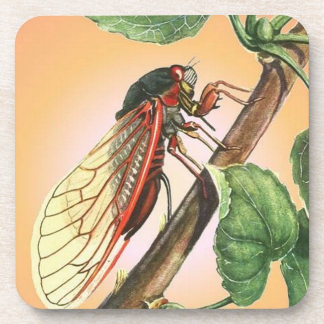 Dessous-de-verre Illustration des insectes du Canada (Devant)